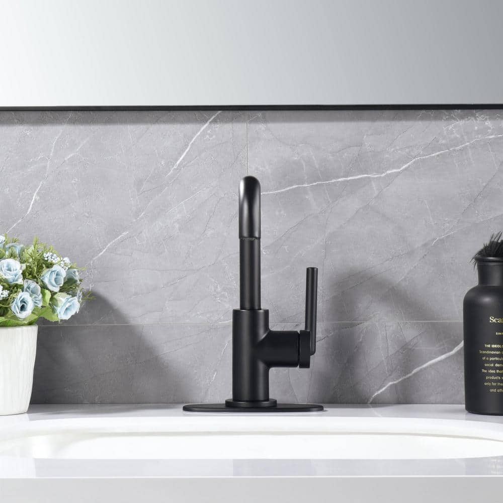 Matte Black Single-Handle Bathroom Faucet with Drain Assembly