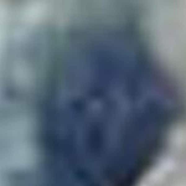 6' X 9' Ivory Navy Blue And Light Blue Floral Area Rug