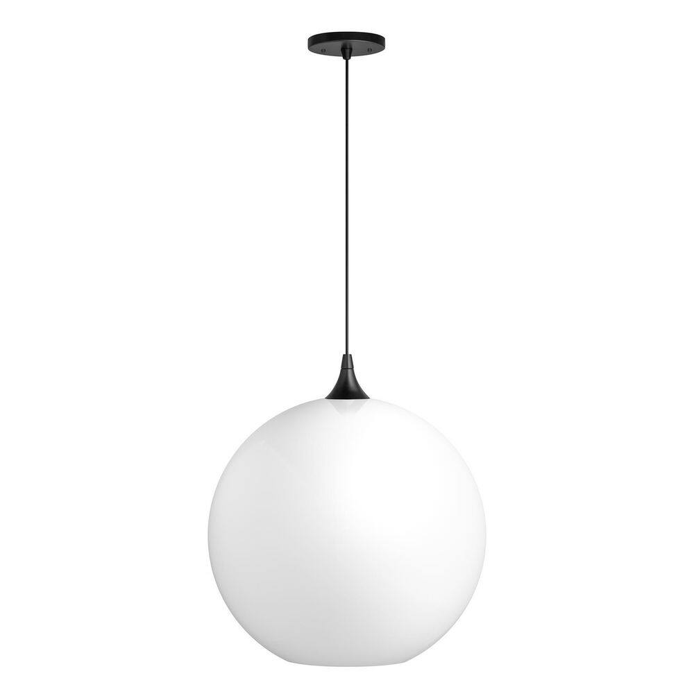 16 in. Black Globe Pendant Light price history on PriceWatchPro