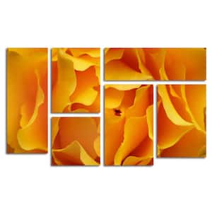 Hypnotic Yellow Rose by Kurt Shaffer 6-Panel Art Set