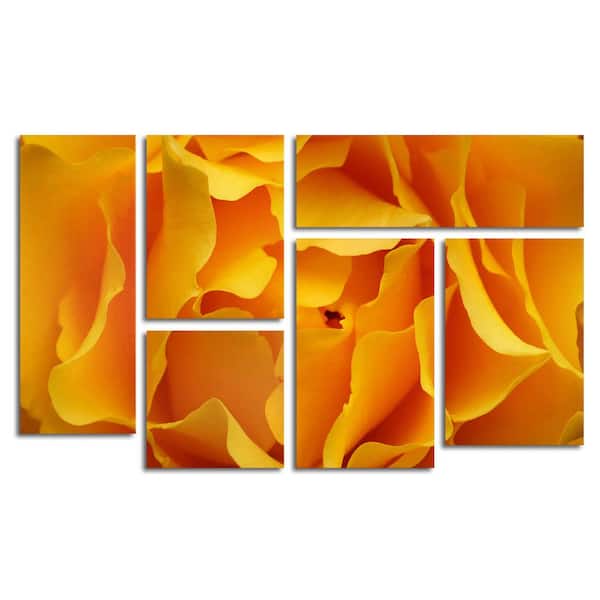 Trademark Fine Art Hypnotic Yellow Rose by Kurt Shaffer 6-Panel Art Set