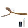 firhot-ceiling-fans-with-lights-aw-zswf52w-c-64.0