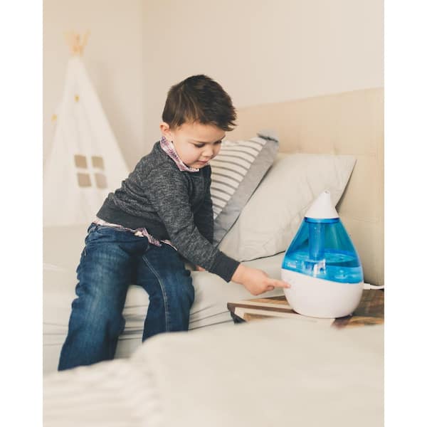 Crane 0.2 Gal. Personal Ultrasonic Cool Mist Humidifier for Small Rooms up  to 160 sq. ft. EE-5951 - The Home Depot