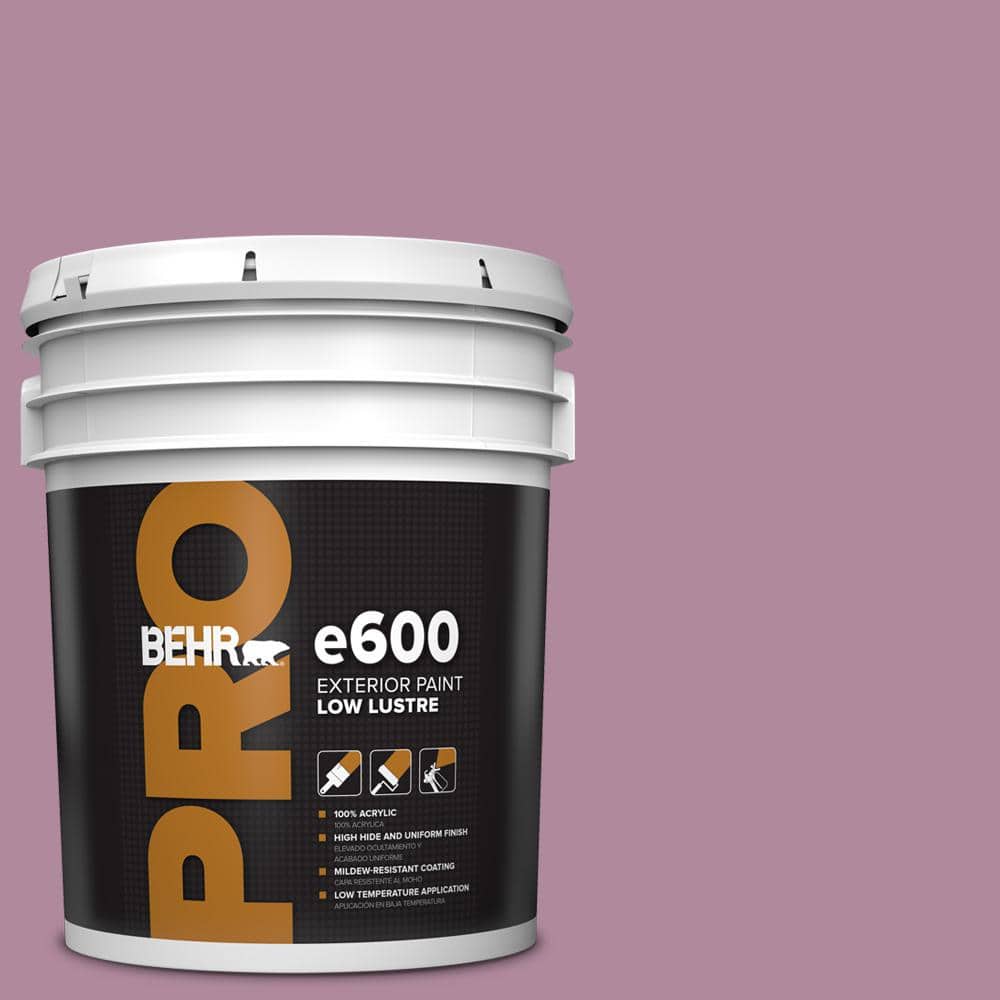 5 gal. #690D-5 Winsome Rose Low Luster Exterior Paint price history on PriceWatchPro
