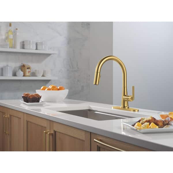 Foundations Design Series Modern Single Handle Pull Down Sprayer Kitchen Faucet in Brushed Gold