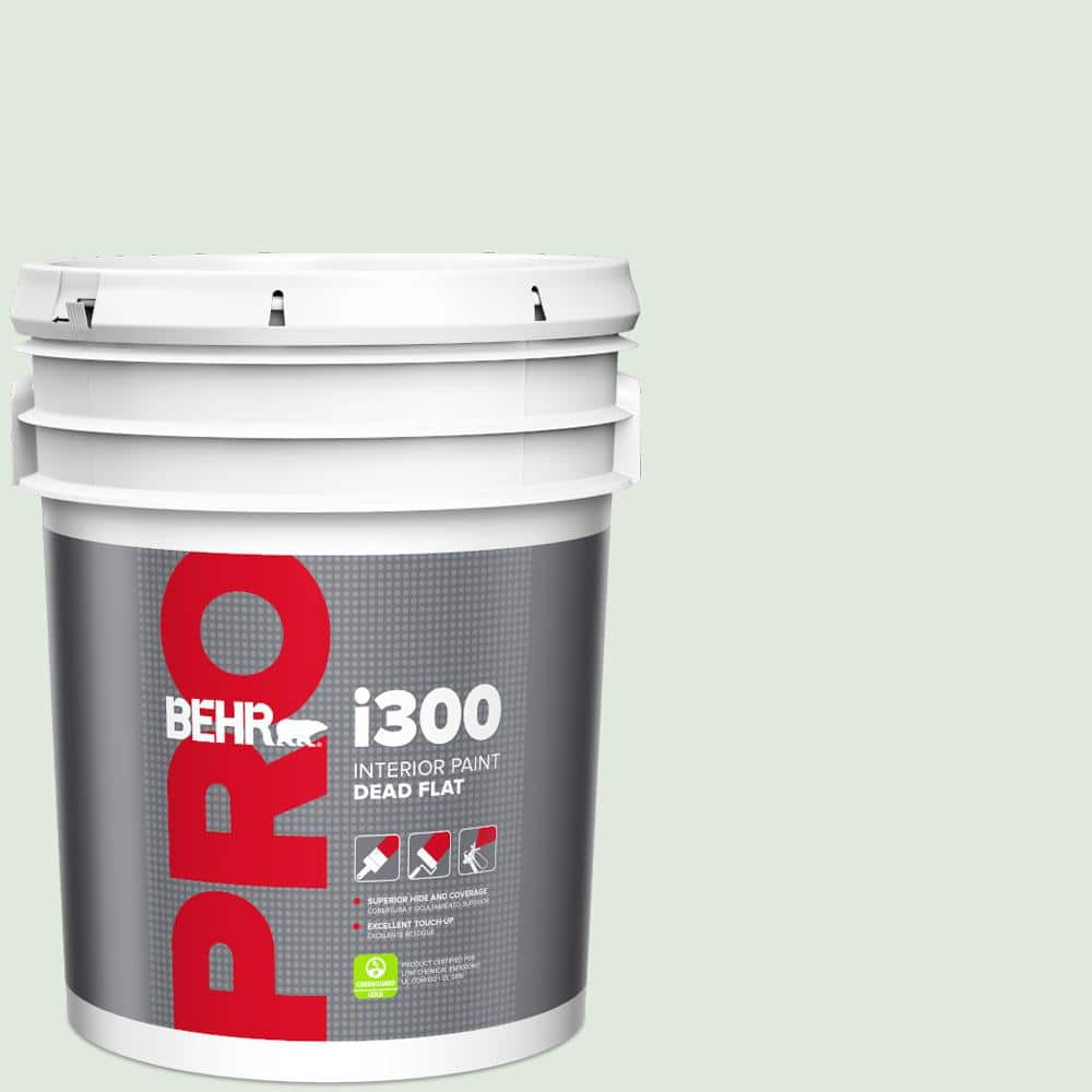 5 gal. #450E-1 Shimmer Dead Flat Interior Paint price history on PriceWatchPro