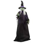 Home Accents Holiday 6 ft Animated Illuminated Wizard Halloween Animatronic  22SV23265 - The Home Depot