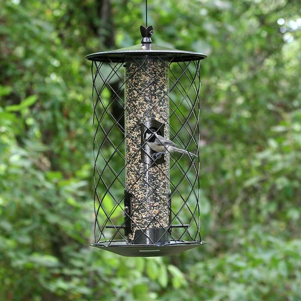 Perky Pet The Preserve Squirrel Resistant Wild Bird Feeder 3 lb