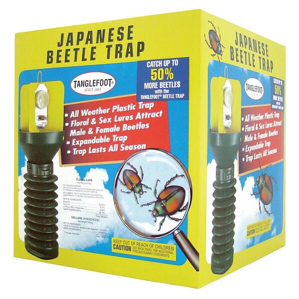 japanese beetle traps