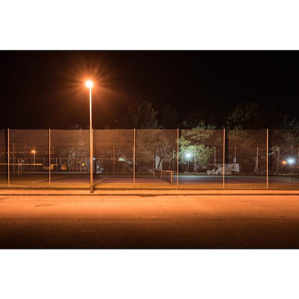 150-Watt ED17 Shape Clear High Pressure Sodium E26 Medium Base HID Light Bulb (1-Pack)