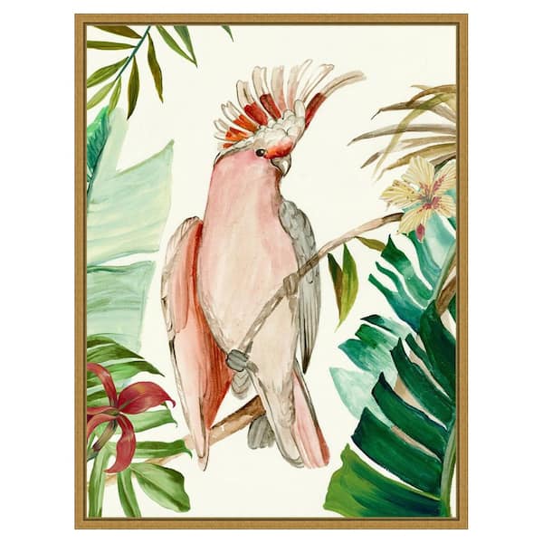 Amanti Art Tropical Bird I by Aimee Wilson 1 Piece Floater Frame Canvas Giclee Animal Art Print 30 in. x 23 in.
