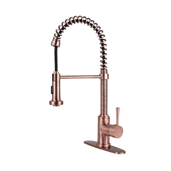 Brienza Residential Single-Handle Spring Coil Pull-Out Sprayer Kitchen Faucet with Matching Deck Plate in Antique Copper