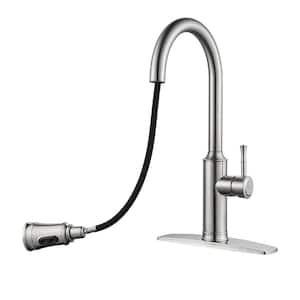 Single Handle Pull Down Sprayer Kitchen Faucet with Pull Out Spray Wand in Brushed Nickel