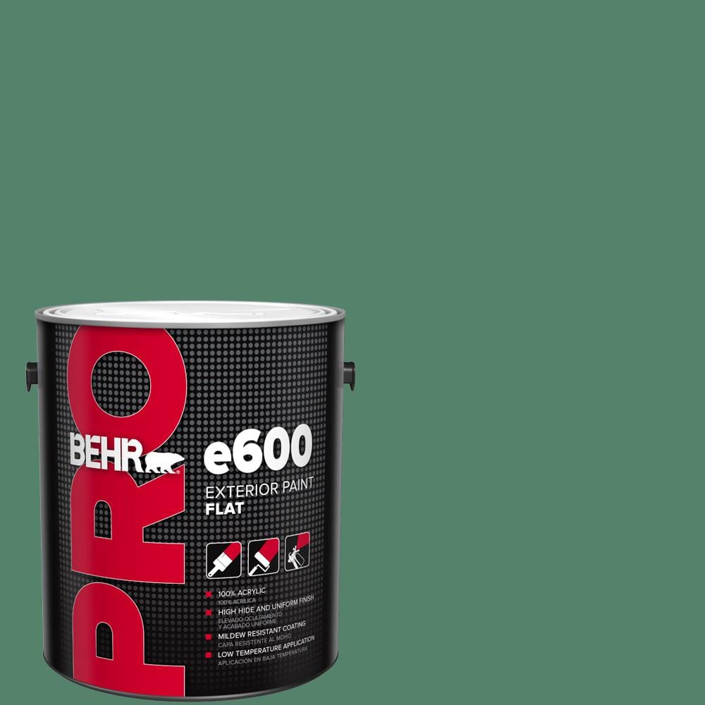 1 gal. #M420-6 Tournament Field Flat Exterior Paint price history on PriceWatchPro
