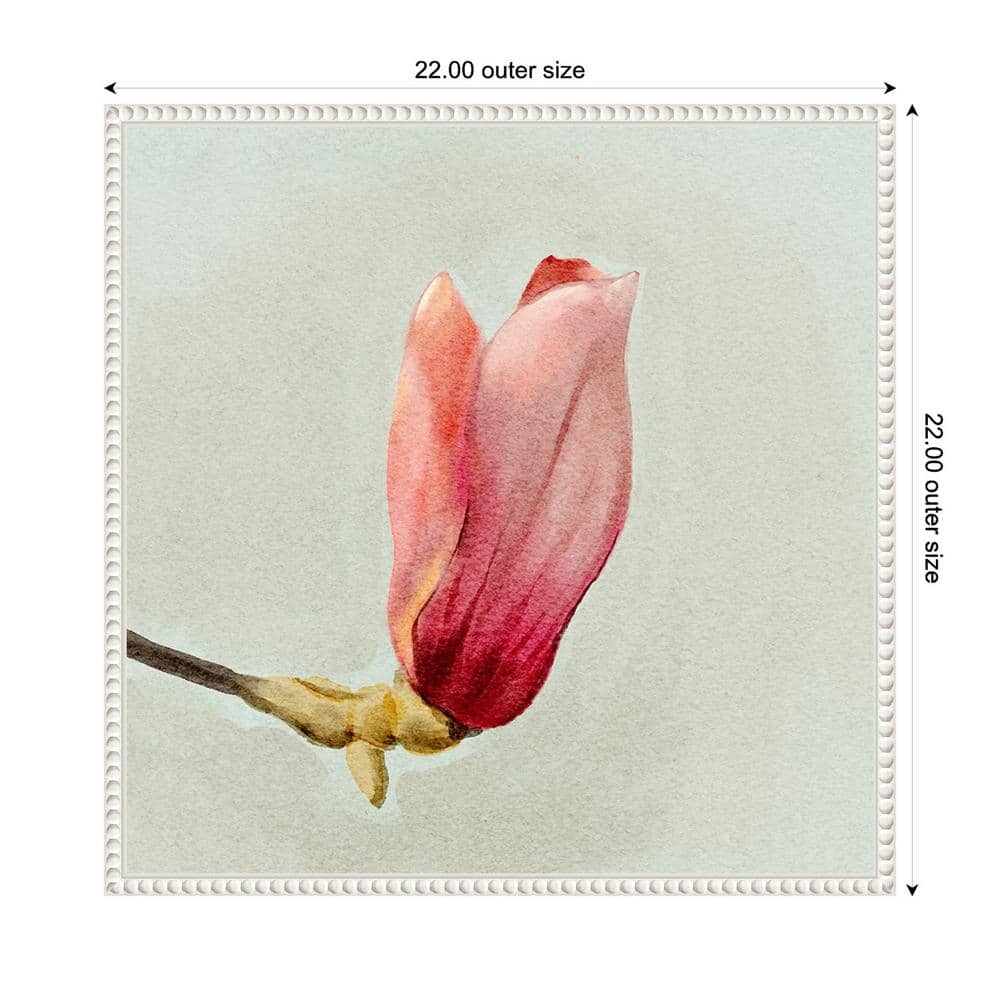 Magnolia Bud I White Floater Frame Canvas Wall Art