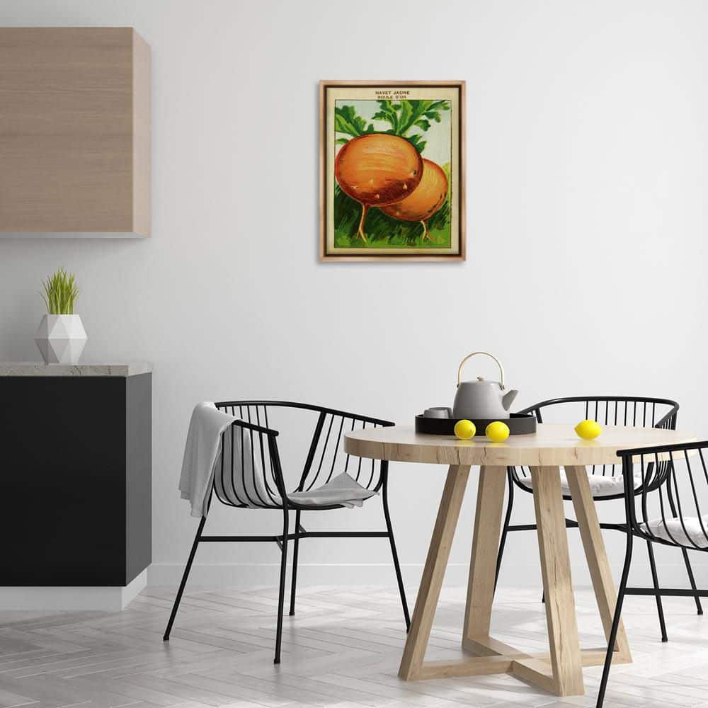 Country Vintage Onions by Lil' Rue Brown Floater Frame Food Graphic Art Print 21 in. x 17 in. price history on PriceWatchPro