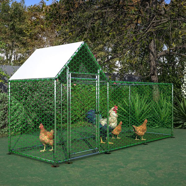 Tunearary 10 x 3.5 ft. Outdoor Large Walk-In Metal Chicken