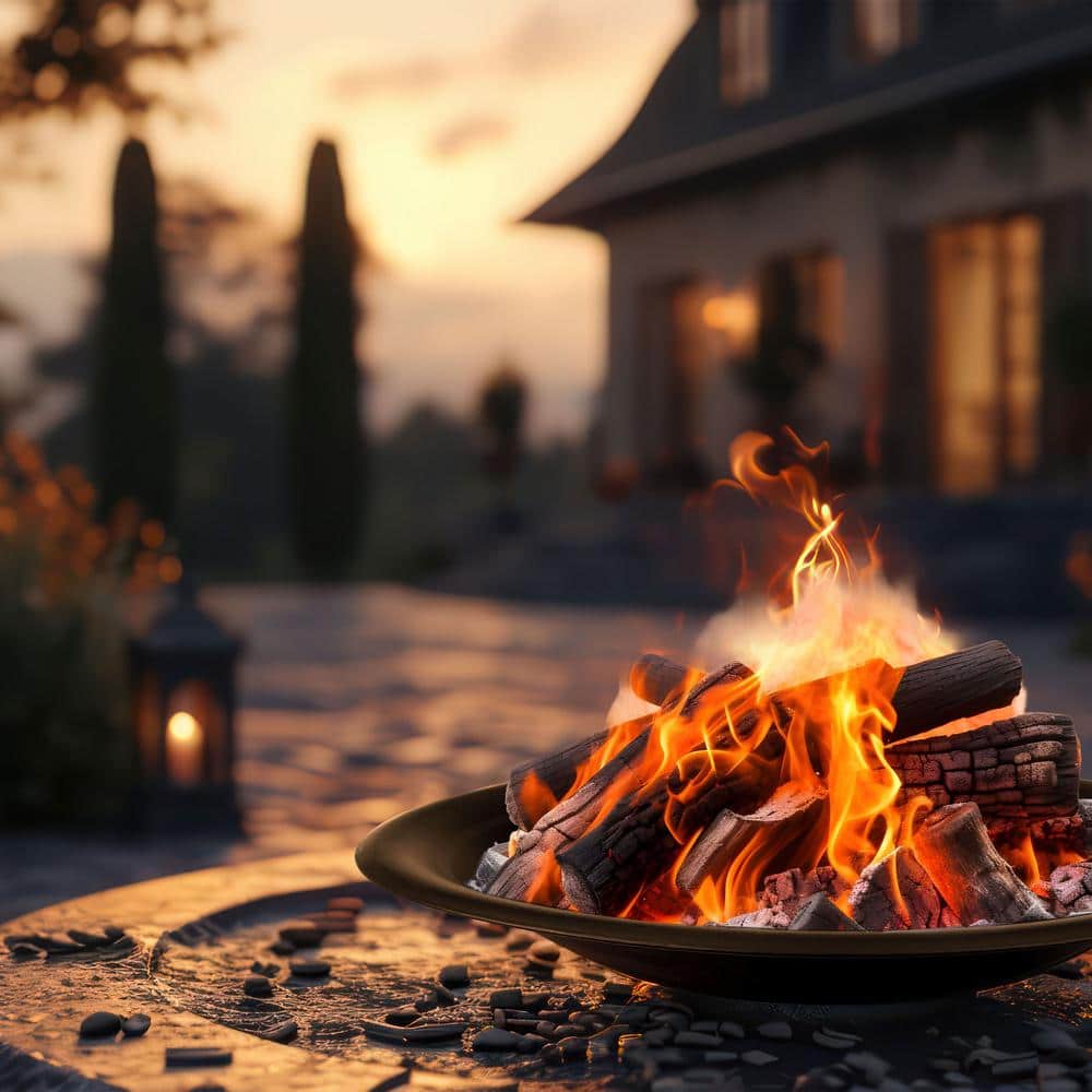 Black Round Metal Fire Pit Bowl for Wood Burning, 24 Inches