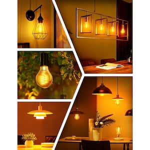 60-Watt Equivalent Vintage LED Edison Bulbs 4-Watt Antique LED Filament Bulb A19 2700K Warm White Non Dimmable 4-Pack