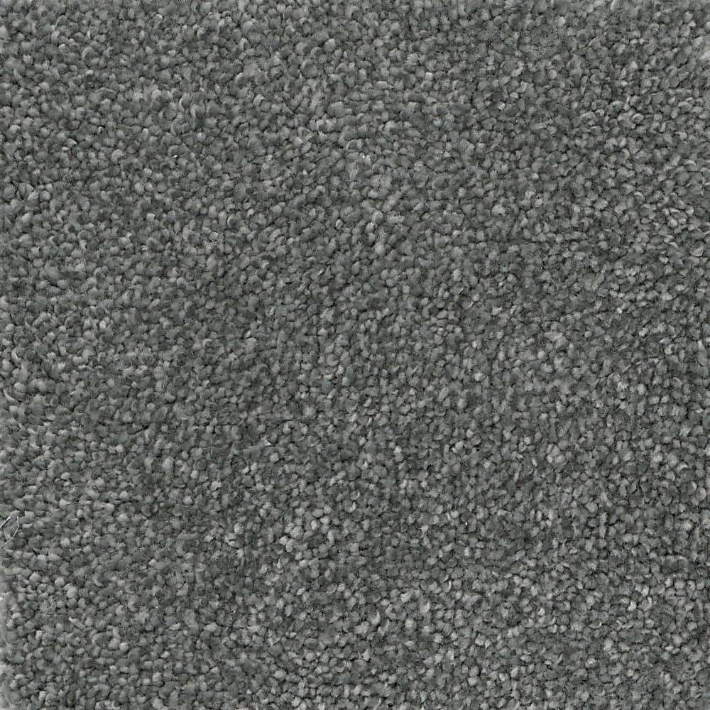 Home Decorators Collection 8 in. x 8 in. Texture Carpet Sample - Soft ...