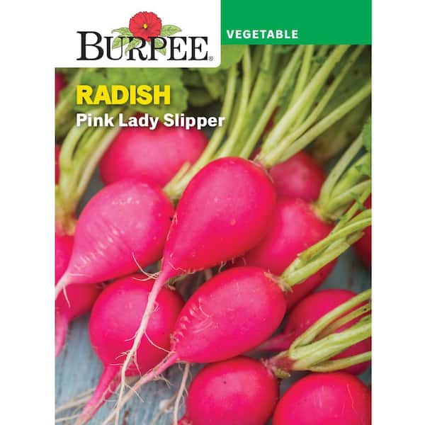Radish Pink Lady Slipper Seed