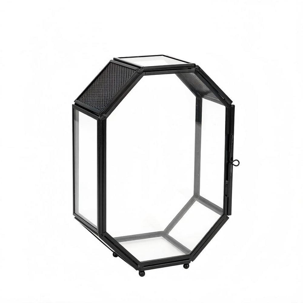 OGETFUUR 8.7 in. H Mini Glass Terrarium with Vent and Door for