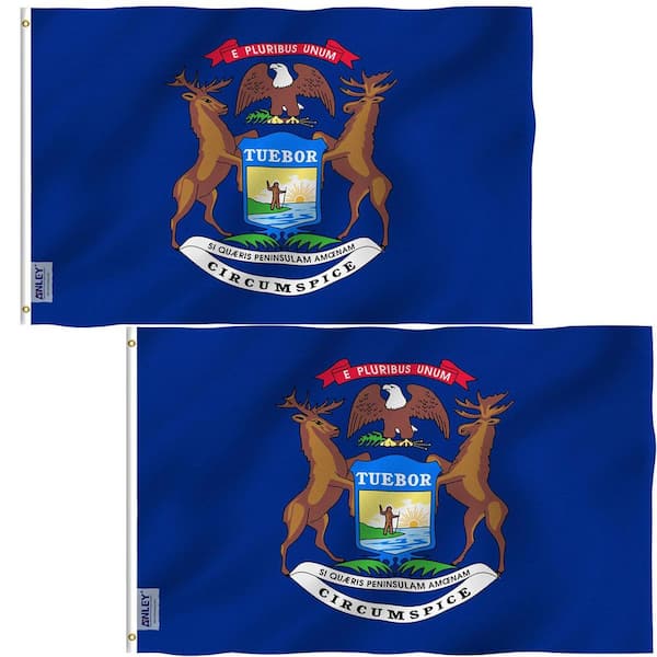 3 ft. x 5 ft. Polyester Michigan State Flag-Mich. MI Flags (2-Pack)