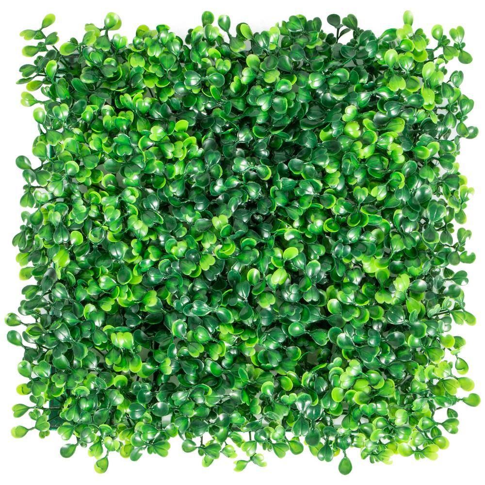 VEVOR Artificial Boxwood Panels 20 in. x 20 in. x 1.6 in. Vinyl Garden Fence Boxwood Hedge Wall Panels PE Grass Backdrop Wall