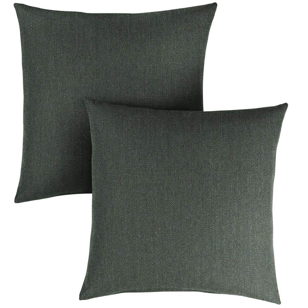 Sunbrella Cast Ivy Square Indoor/Outdoor Throw Pillow (2-Pack) price history on PriceWatchPro