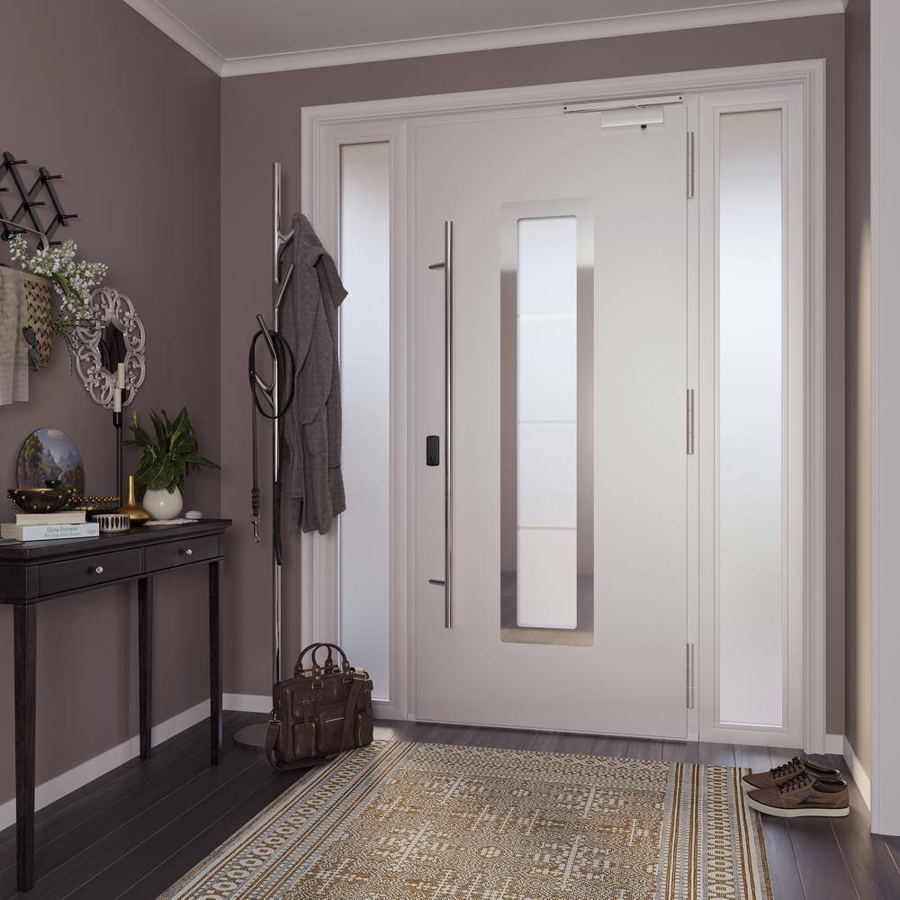 Argos Anthracite Zinc-Galvanized Steel Screen Door with Frosted Glass