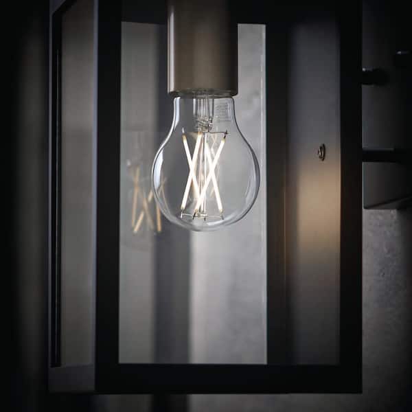 60-Watt Equivalent A19 CEC Dimmable Dusk to Dawn Clear Glass Filament LED Light Bulb Daylight (1-Pack)