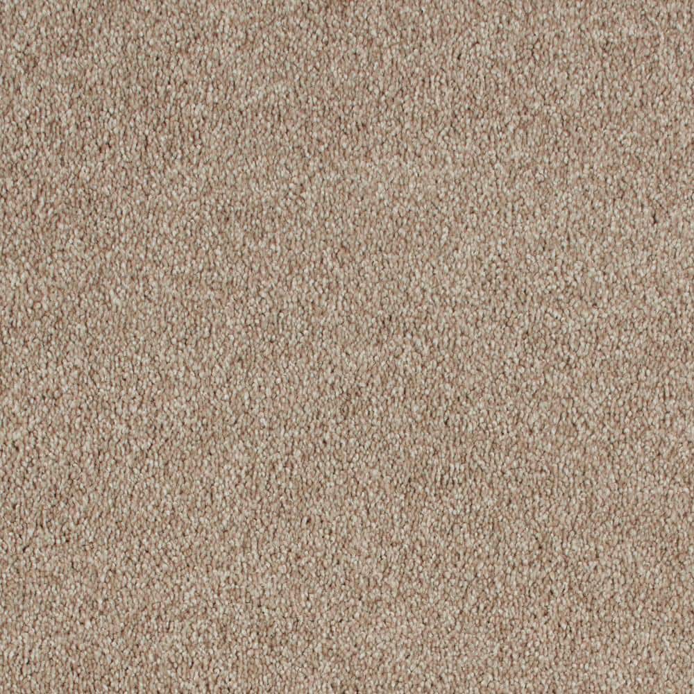 8 in. x 8 in. Texture Carpet Sample - Still In Love I -Color Friendship price history on PriceWatchPro