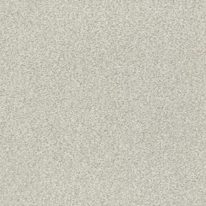 Karma II - Flag Stone - Beige 50.5 oz. Nylon Texture Installed Carpet