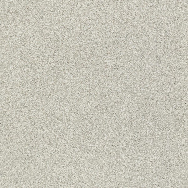 Lifeproof Karma II - Flag Stone - Beige 50.5 oz. Nylon Texture Installed Carpet