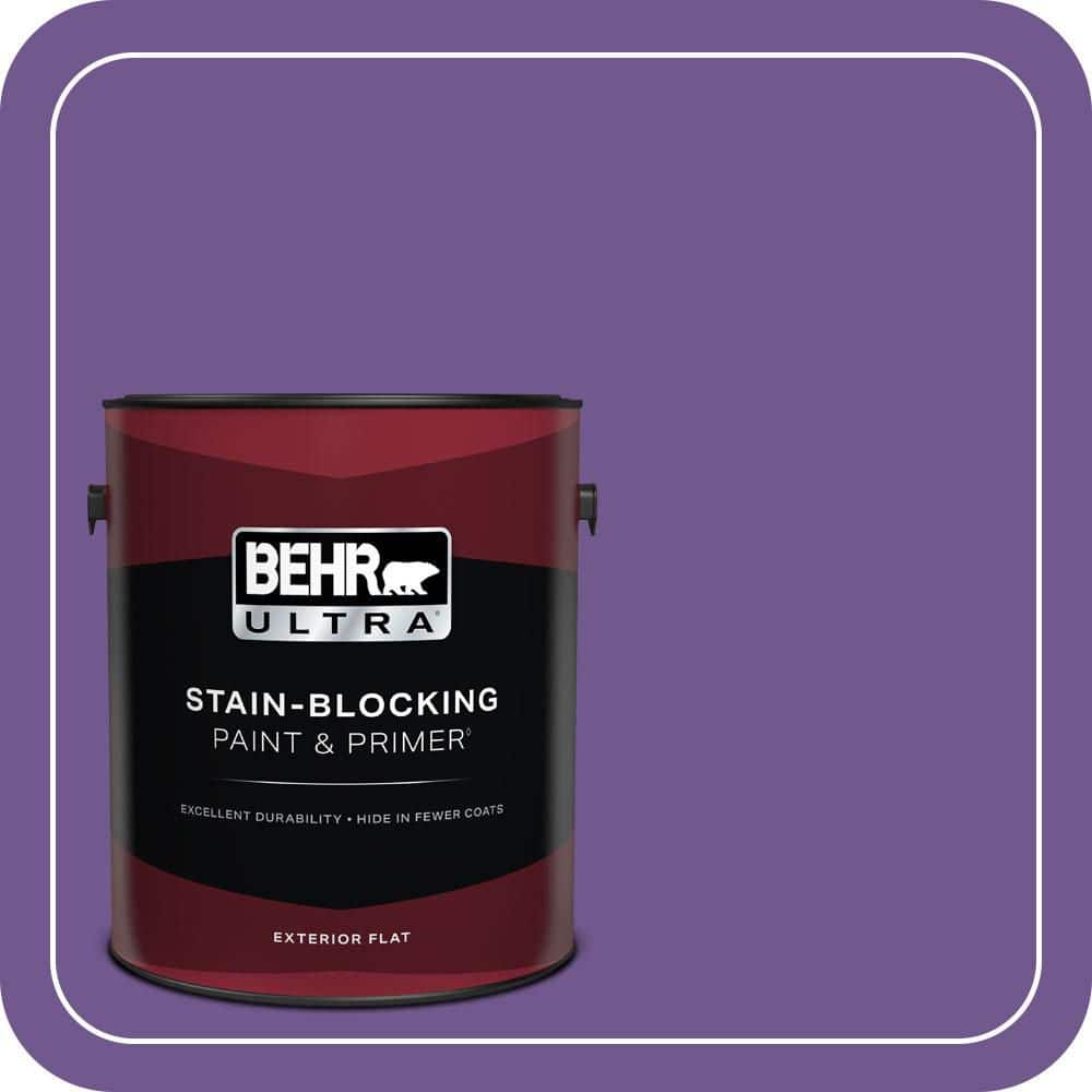1 gal. #P570-6 Classic Waltz Flat Exterior Paint & Primer price history on PriceWatchPro