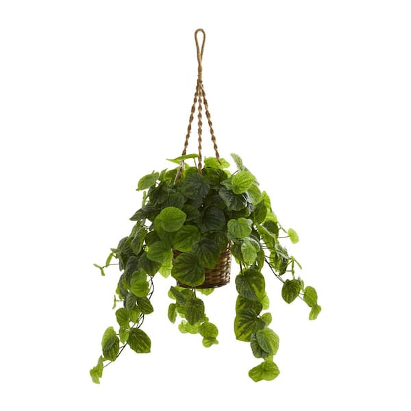 Nearly Natural Indoor 34 Peperomia Artificial Plant In Hanging Basket 8579 Gr The Home Depot