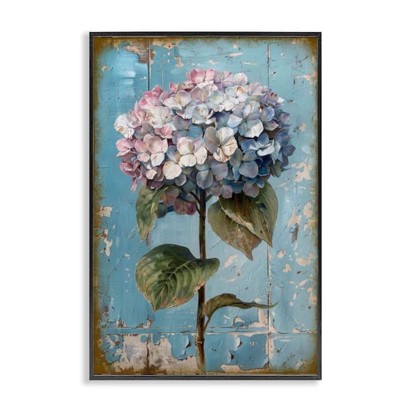 Stupell Industries Hydrangea on Distressed by LSR Design Studio Black Framed Nature Giclee Art Print 24 in. x 16 in.