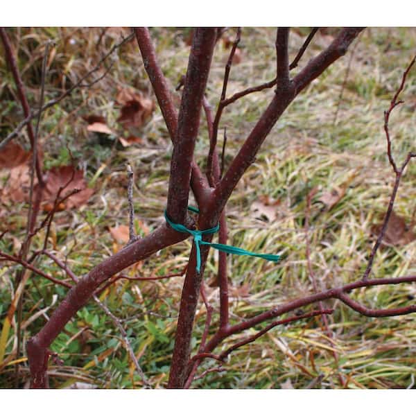 1 in. x 100 ft. Coil Chain Lock Tree Tie