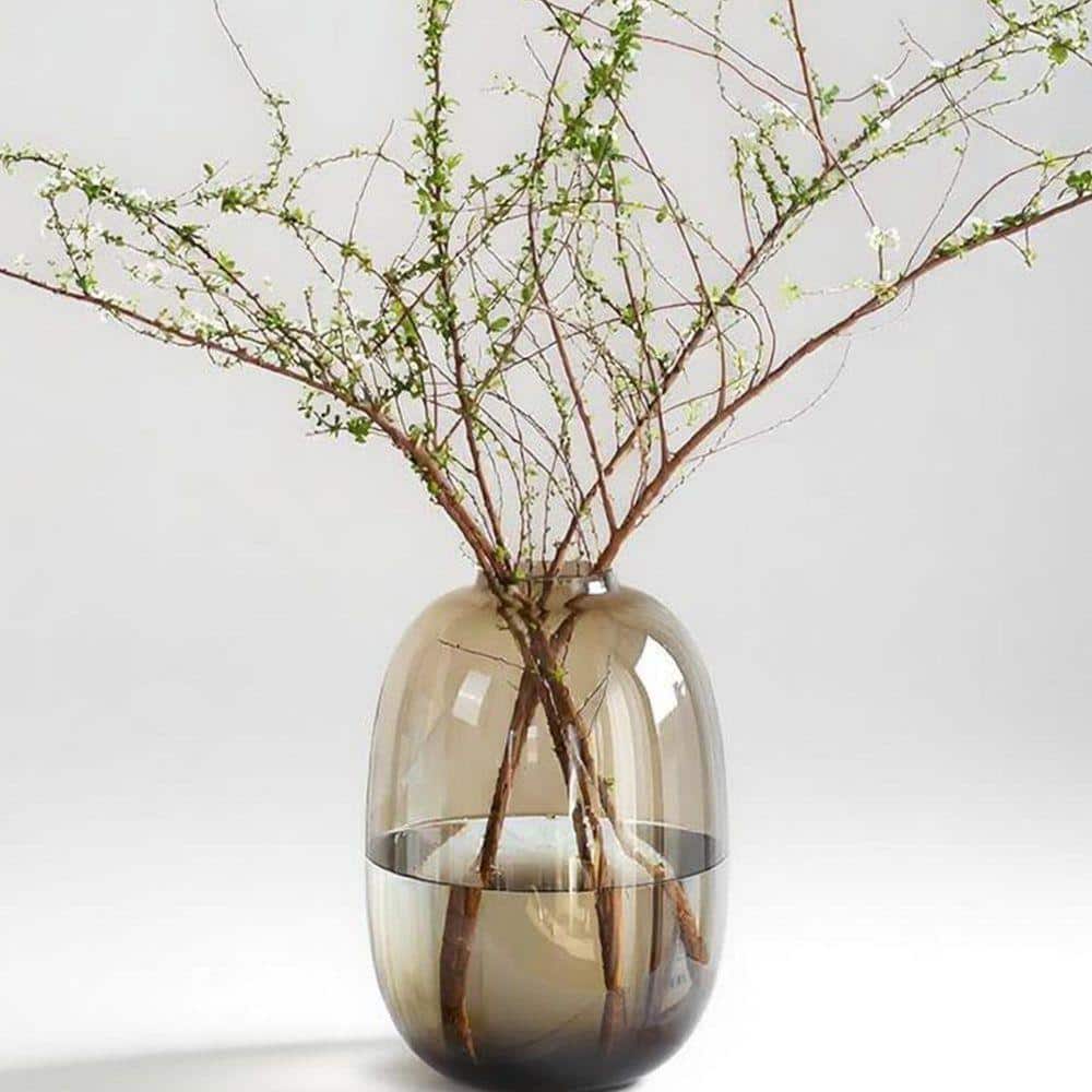 10 in. Brown Glass Vase Round Clear Flower Vase, Modern Home Indoor Decoration SMBZVN3T6D