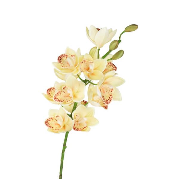 LIVING LUXURY 30 in. Ivory Peach Artificial Cymbidium Orchid