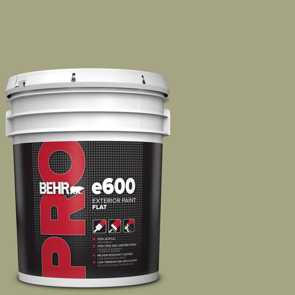 5 gal. #410F-4 Mother Nature Flat Exterior Paint price history on PriceWatchPro