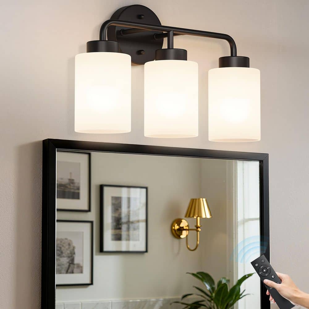 Modern 16.53 in. 3-Light Black Bathroom Vanity Light with Remote & Glass Shades, Dimmable & Rustproof, Bulbs Included price history on PriceWatchPro