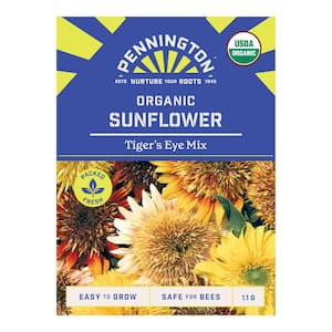 Organic Tiger's Eye Mix Sunflower Flower Seeds