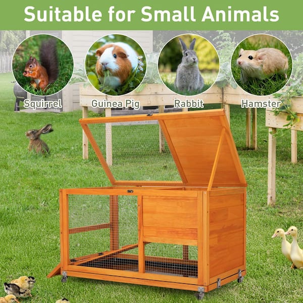 Rabbit Wholesale Blooming Wooly Bunnies (9 pc. ppk.) | Ganz