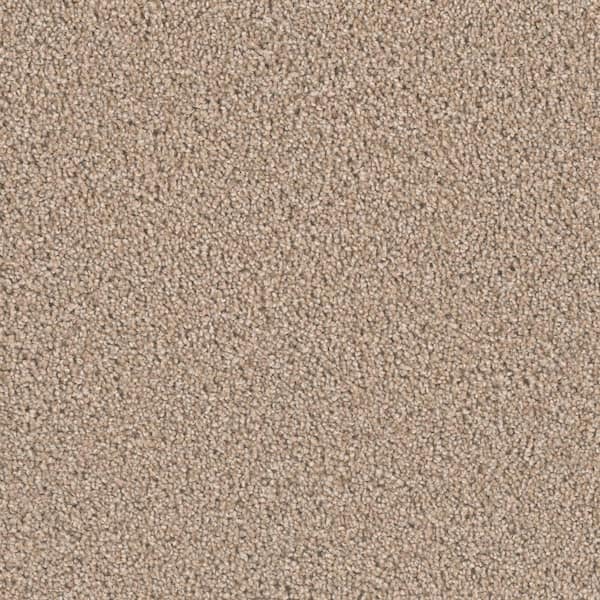 Home Decorators Collection 8 in. x  8 in. Texture Carpet Sample - Delicate Flower -Color Elegant