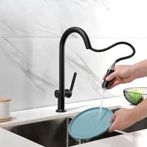 Single Handle Pull Out Sprayer Kitchen Faucet with Advanced 2-Setting Spray in Matte Black