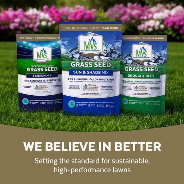 Mountain View Seeds Sun and Shade 20 lbs. Grass Seed 111985 - The