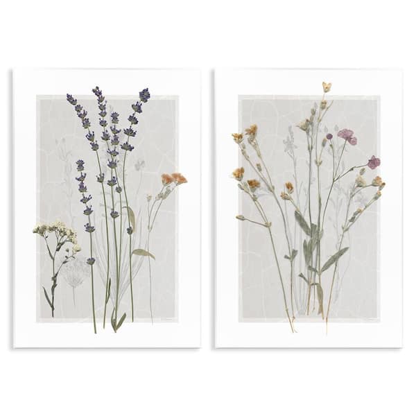 Delicate Wildflower Herb Sprigs by Carol Robinson 2 Piece Unframed Graphic Art Print Nature 10 in. x 15 in.