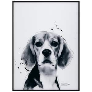 Beagle B and W Pet Paintings on Printed Glass Encased with a Gunmetal Anodized Frame Animal Art Print, 24 in. x 18 in.