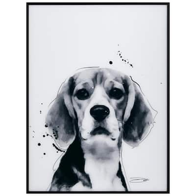 Empire Art Direct Persian B and W Pet Paintings on Printed Glass Encased  with a Gunmetal Anodized Frame Animal Art Print, 24 in. x 18 in.  AAGB-JP1050-2418 - The Home Depot